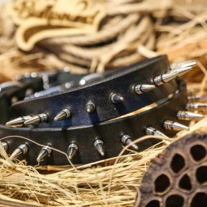 Mustang Sally Collar