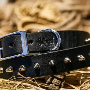 Money Penny Collar